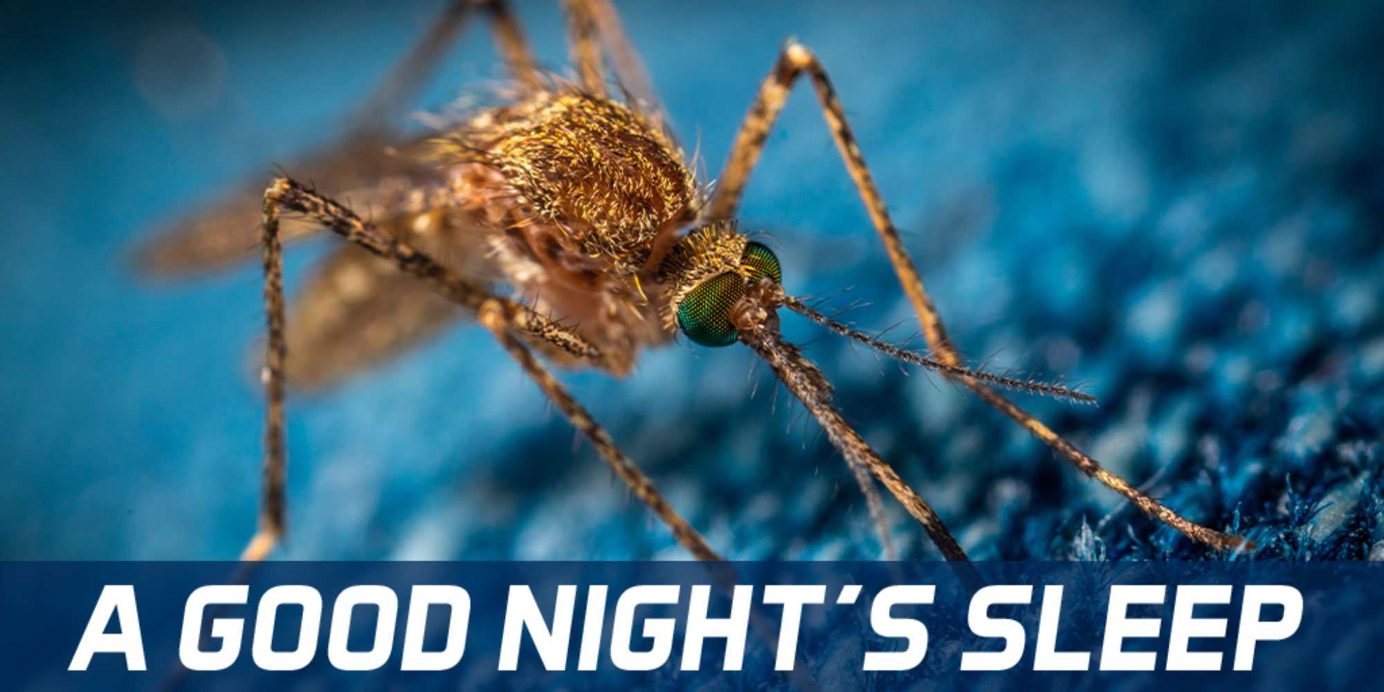 A Good Night&#39;s Sleep