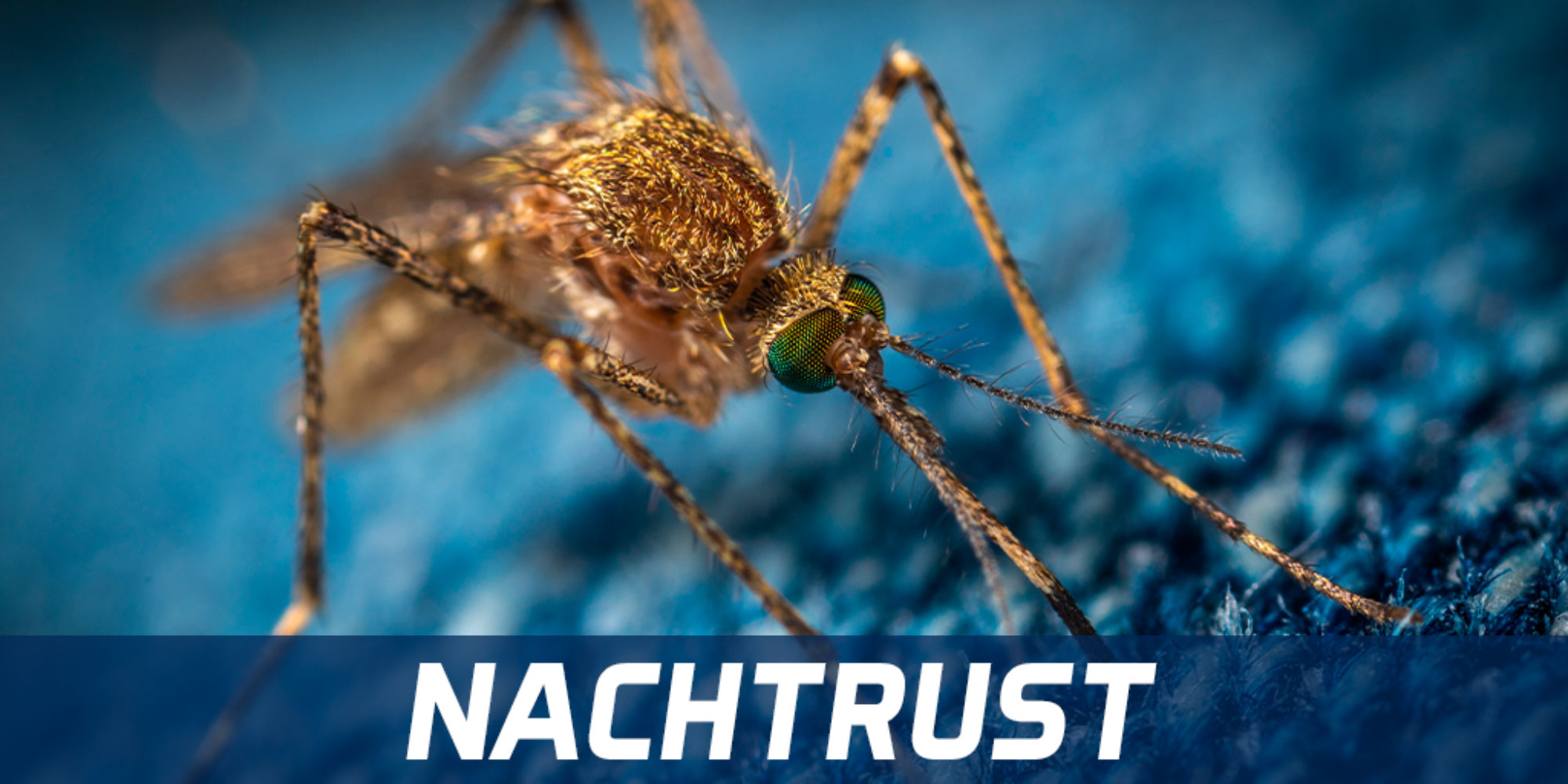 Nachtrust